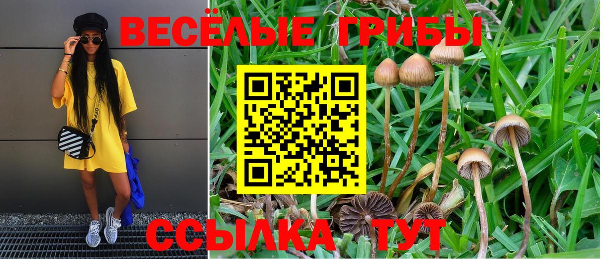 Псилоцибиновые грибы мухоморы Междуреченск