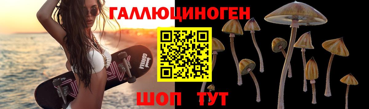 Галлюциногенные грибы Cubensis  закладки  Междуреченск  Вход с VPN 